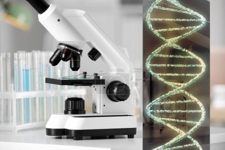 Téléchargez les photos : Tests génétiques. Microscope et illustration de la structure de l'ADN en laboratoire - en image libre de droit