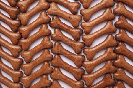 Téléchargez les photos : Composition plate avec de nombreux biscuits pour chiens en forme d'os sur fond blanc - en image libre de droit