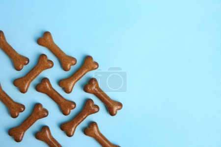 Téléchargez les photos : Bone shaped dog cookies on light blue background, flat lay. Space for text - en image libre de droit