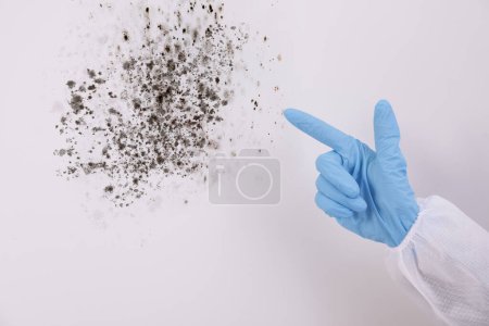 Woman in protective suit pointing at wall affected with mold, closeup