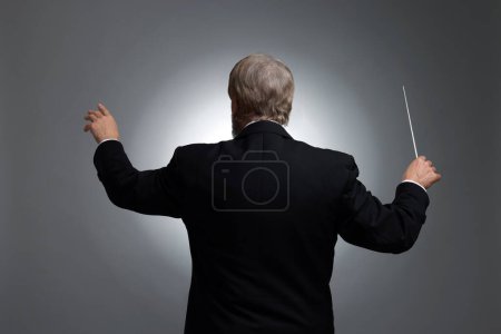 Foto de Conductor profesional con bastón sobre fondo gris, vista trasera - Imagen libre de derechos