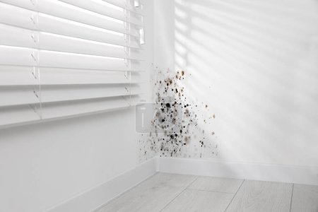 Téléchargez les photos : Murs blancs affectés par la moisissure dans la chambre - en image libre de droit