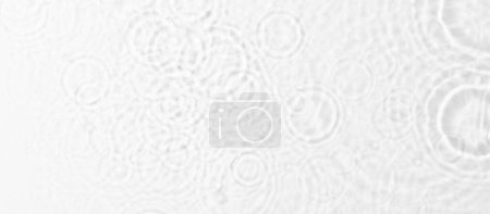 Photo for Water with circles on white background, top view. Banner design - Royalty Free Image
