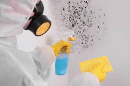 Photo for Woman in protective suit and rubber gloves using mold remover and rag on wall - Royalty Free Image