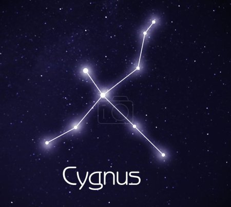 Foto de Constelación de cisne (Cygnus). Figura patrón de palo en el cielo estrellado noche - Imagen libre de derechos