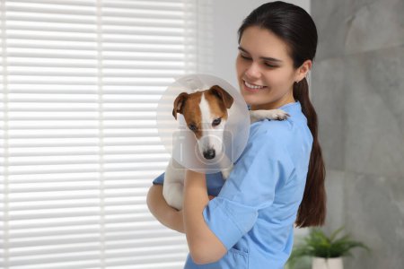 Veterinario y lindo perro Jack Russell Terrier con collar de plástico médico en la clínica