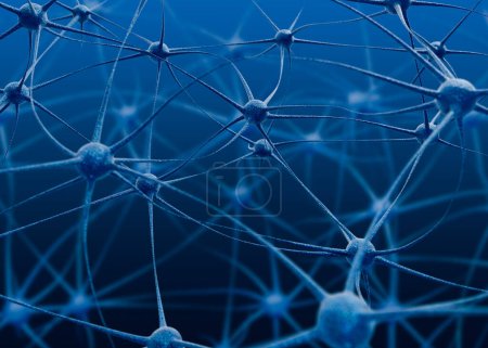 Téléchargez les photos : Système nerveux. Réseau neuronal biologique sur fond bleu, illustration - en image libre de droit