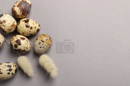 Photo for Speckled quail eggs and dry flowers on light grey background, flat lay. Space for text - Royalty Free Image