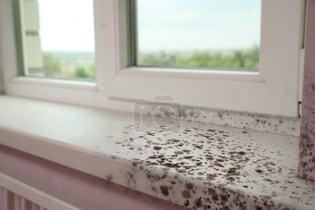Fenêtre, seuil et pente touchés par la moisissure dans la pièce