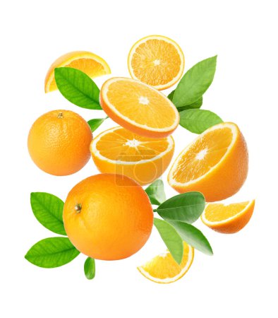 Photo for Cut and whole oranges with green leaves flying on white background - Royalty Free Image