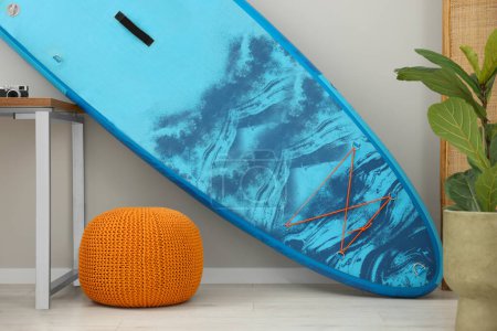 Photo for SUP board, orange pouf and houseplant in room. Interior element - Royalty Free Image
