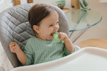 Cute little baby nibbling teether in high chair indoors