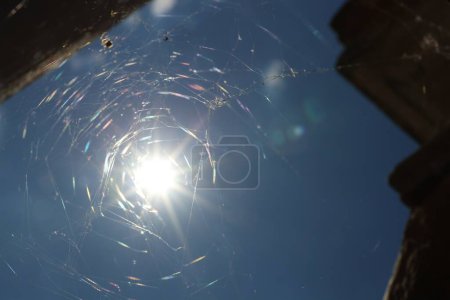 Téléchargez les photos : Cobweb contre le ciel bleu à l'extérieur le jour ensoleillé, vue du bas - en image libre de droit