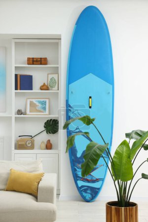 Photo for SUP board, shelving unit with different decor elements and green houseplant in room. Interior design - Royalty Free Image