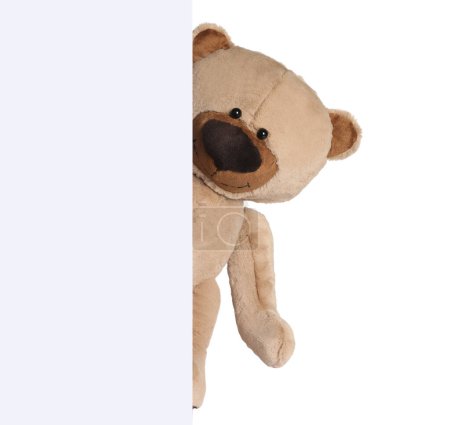 Photo for Cute teddy bear peeking out of blank card on white background - Royalty Free Image