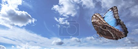 Photo for One beautiful butterfly flying in sky, space for text. Banner design - Royalty Free Image