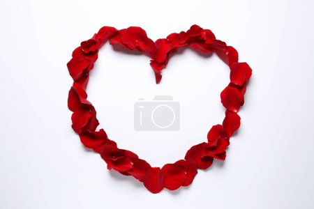 Téléchargez les photos : Cadre en forme de coeur de belles pétales de rose rouge sur fond blanc, vue de dessus - en image libre de droit