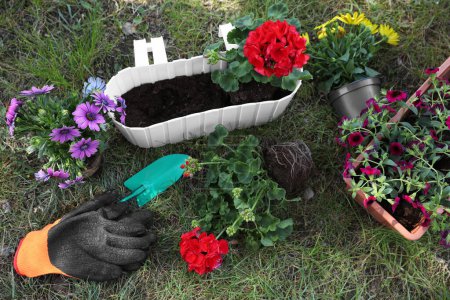Foto de Hermosas flores en macetas, guantes de goma y llana sobre hierba, vista superior - Imagen libre de derechos