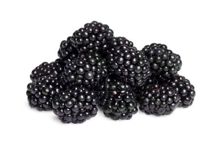 Photo for Pile of ripe blackberries isolated on white - Royalty Free Image