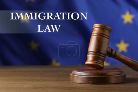 Téléchargez les photos : Droit de l'immigration. Marteau du juge sur une table en bois contre le drapeau de l'Union européenne - en image libre de droit