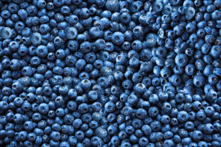 Photo for Wet fresh blueberries as background, top view - Royalty Free Image