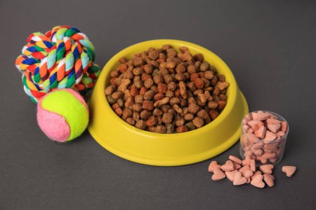 Téléchargez les photos : Vitamines, jouets et aliments secs pour animaux de compagnie dans un bol sur fond gris - en image libre de droit