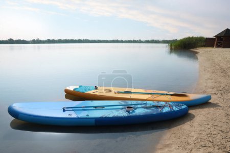 Photo for SUP boards with paddles on river shore - Royalty Free Image
