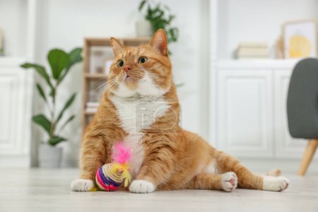 Foto de Lindo jengibre gato jugando sisal juguete en casa - Imagen libre de derechos