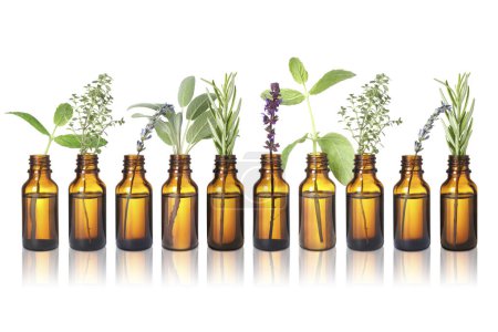 Foto de Set de diferentes aceites esenciales con hierbas aisladas sobre blanco - Imagen libre de derechos