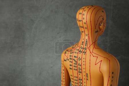 Téléchargez les photos : Modèle d'acupuncture. Mannequin avec points et lignes sur fond gris foncé, espace pour le texte - en image libre de droit