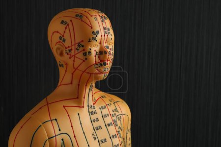 Téléchargez les photos : Modèle d'acupuncture. Mannequin avec points et lignes sur fond noir, espace pour le texte - en image libre de droit