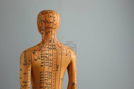 Téléchargez les photos : Acupuncture - médecine alternative. Modèle humain avec aiguilles à l'épaule sur fond gris, vue arrière. Espace pour le texte - en image libre de droit