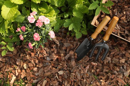 Soil mulched with bark chips, fork and trowel near flowers in garden, flat lay