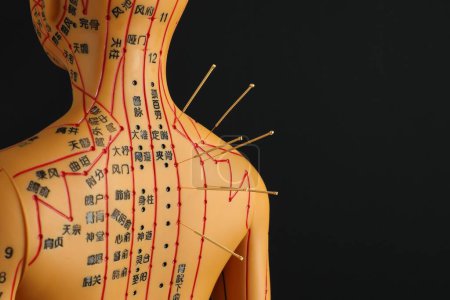 Téléchargez les photos : Acupuncture - médecine alternative. Modèle humain avec aiguilles dans le dos sur fond noir, espace pour le texte - en image libre de droit