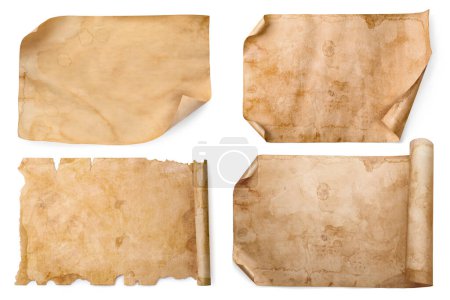Photo for Set with parchments isolated on white. Aged sheets of paper - Royalty Free Image