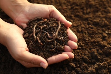 Woman holding soil with earthworms above ground, closeup. Space for text