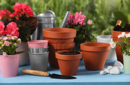 Photo for Beautiful flowers, pots, soil and trowel on light blue wooden table outdoors - Royalty Free Image