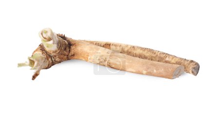 Photo for Fresh cut horseradish root isolated on white - Royalty Free Image