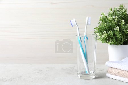 Téléchargez les photos : Brosses à dents en plastique dans le porte-verre, serviettes et plantes sur table gris clair, espace pour le texte - en image libre de droit