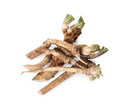 Photo for Pile of fresh horseradish roots isolated on white, top view - Royalty Free Image