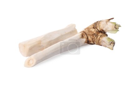 Photo for Fresh peeled horseradish roots isolated on white - Royalty Free Image