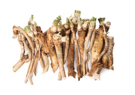 Photo for Pile of fresh horseradish roots isolated on white, top view - Royalty Free Image