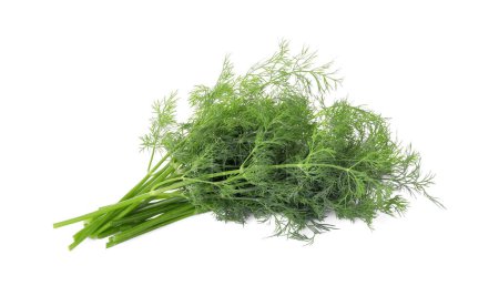 Photo for Sprigs of fresh dill isolated on white - Royalty Free Image