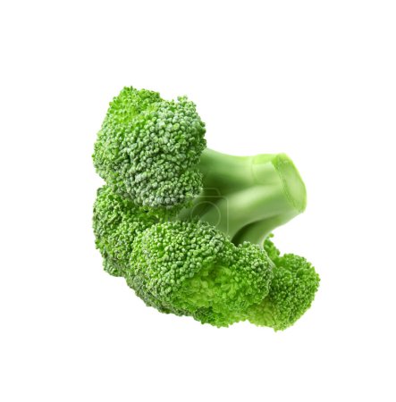 Foto de Brócoli verde crudo fresco aislado en blanco - Imagen libre de derechos