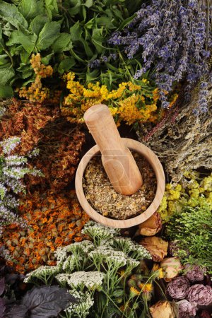 Photo for Mortar with pestle and many different herbs, top view - Royalty Free Image