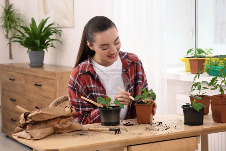 Téléchargez les photos : Femme heureuse plantant des semis dans le pot à la table en bois dans la chambre - en image libre de droit