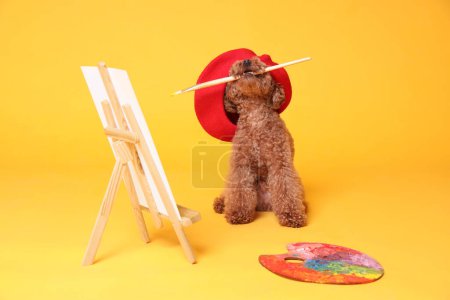 Téléchargez les photos : Mignon Maltipoo en béret rouge tenant pinceau près du chevalet avec toile et palette sur fond orange. Artiste chien - en image libre de droit