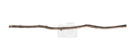 One old wooden stick isolated on white