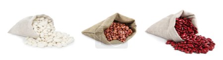 Téléchargez les photos : Différents haricots rouges crus dans des sacs isolés sur blanc, collecte - en image libre de droit