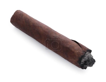 One burnt expensive cigar isolated on white, above view